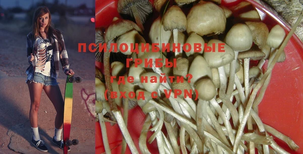 дмт Алзамай