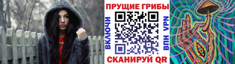 Псилоцибиновые грибы Psilocybe  Анива 